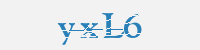 보안문자